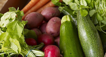 Philadelphia CSA Choices: Part II (& more Local, Sustainable Farmers)
