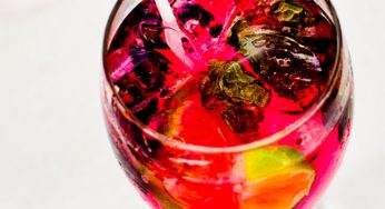‘Bring On Summer’ Blueberry Mojito