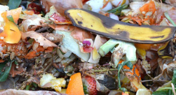 Where Can I Compost in Philly?