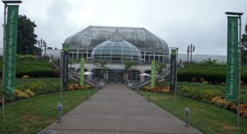 Phipps Conservatory: City Spotlight on Pittsburgh’s Green Side