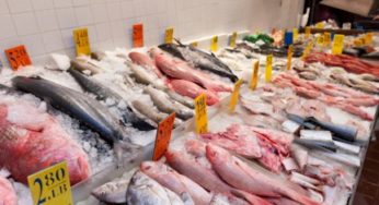 Seafood Dirty Dozen – What should you be avoiding?