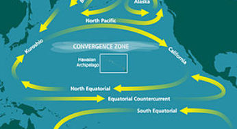 Plastic Pollution Adds Up: Great Pacific Garbage Patch