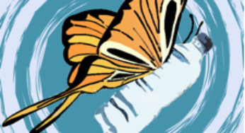 Get Your Eco Philly Fringe Fest on with “Of Plastic Things & Butterfly Wings”