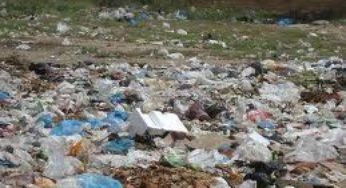 10 Reasons to Sign & Pass on the Plastic Bag Reduction Initiative!