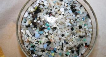 Avoid Microbeads – Mini Plastic Litter – Friday Quickie