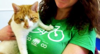 Green Your Cat Adoption: Sustainable Kitty 101