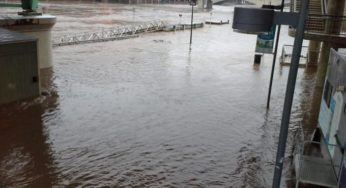 Flooded Schuylkill Bike Trail: Photo Friday