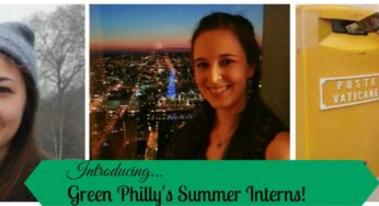 Introducing our Summer Interns