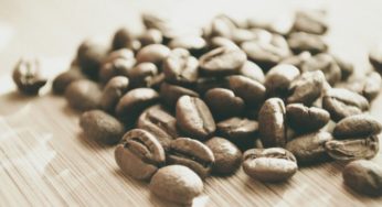 Philadelphia’s 9 Best Sustainable & Conscious Coffee Shops