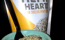 chia seeds pudding reciep