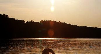 Paddleboard Yoga, Art Supply Swaps & Wellness Walks: Green Weekend Guide: 8/29 – 8/31