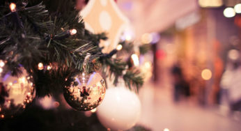 Where to Recycle Christmas Trees 2015: WCI Weds