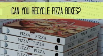 Can You Recycle Pizza Boxes in Philadelphia? WCI Weds