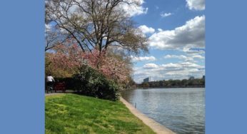 Celebrate your Mom: Weekend Events May 8-10, 2015