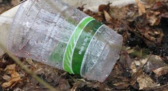 Can I Recycle “Compostable” or “Biodegradable” Plastics in Philadelphia?