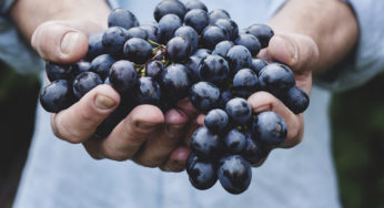 3 Tips to Eat Healthy & Sustainable on a Budget