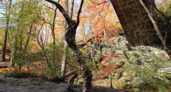 Philly’s a World Heritage City Yo: Week Events 11/9 – 11/15