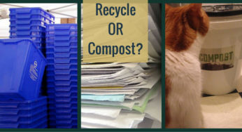 Paper: Should you recycle or compost in Philadelphia?