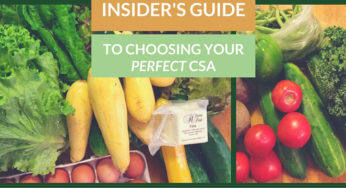 Insider’s Guide: Find out Which Local CSA is PERFECT For You
