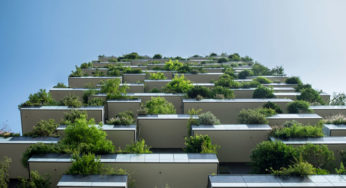 Announcing Beyond the Blog: Careers in Sustainability