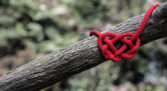 ‘Lots’ of Love: Weekly Recap