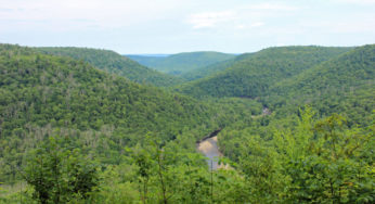 Exploring Worlds End State Park – and Camping without owning all the gear