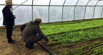 How Philly Foodworks is Creating a Better Food System for Our Region