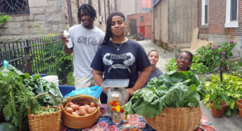 Kapow! Hot Sauce: Employing Camden Teens and Fighting Food Insecurity