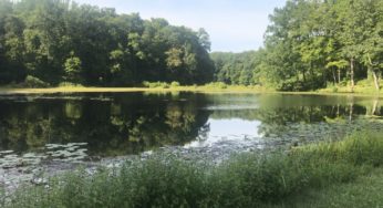 What is the Delaware Watershed?