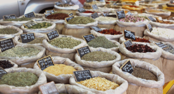 Zero Waste Shopping in Philly: Where to Buy Groceries in Bulk