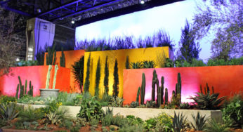 Did the 2020 Philadelphia Flower Show Amp up Sustainability?