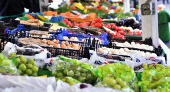 How Local Farmers Are Bringing You Fresh Food During the COVID-19 Crisis