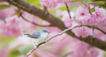 How the Garden State has prioritized water & ecological diversity despite threats from civilization