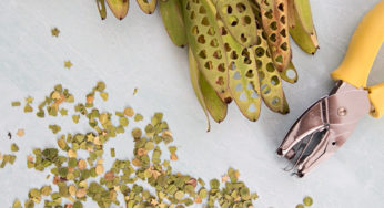 3 sustainable swaps to decorate your next celebration