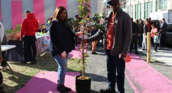 TreePhilly Continues to Green the City Despite Coronavirus
