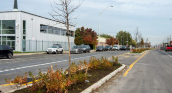 New American Street Bike Lane Comes With Green Stormwater Infrastructure