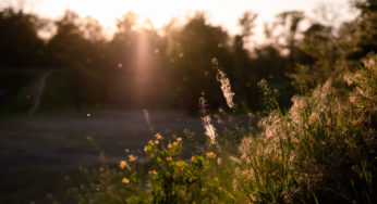It’s true: You can blame Climate change for making your allergies & asthma worse, Philly.