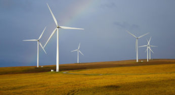 Step one to lowering your carbon footprint at home: Pick a sustainable energy supplier
