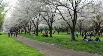Philly fell back to 19th place for its 2021 ParkScore® due to our park access inequality.