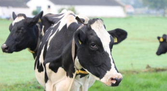 Eco-Explainer: Why Methane Matters