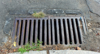 Eco-Explainer: What can go down a storm drain? Short answer – Nothing.