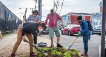 Sign up to plant trees from November 17-21st