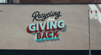 How to help local sustainability efforts this Giving Tuesday