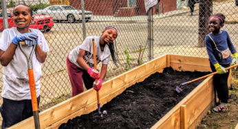 How neighbors turned vacant land into an asset: La Esquina garden