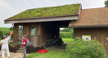Eco-explainer: What is a green roof?