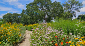 Choosing a Green burial: Life after Life in Nature’s Sanctuary