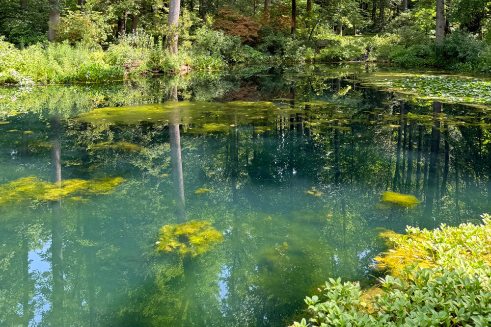 Funding for Solar in Schools & Delaware Watershed; New EJ mapping tool