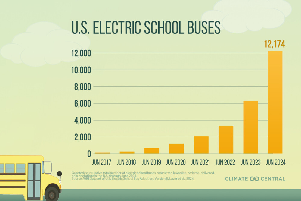 2024 buses