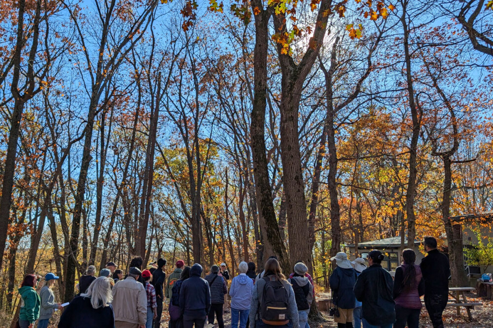 Schuylkill Center for Environmental Education - Arboretum