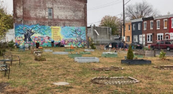 Community gardens build neighborhood connections. So why is it so hard to acquire land?